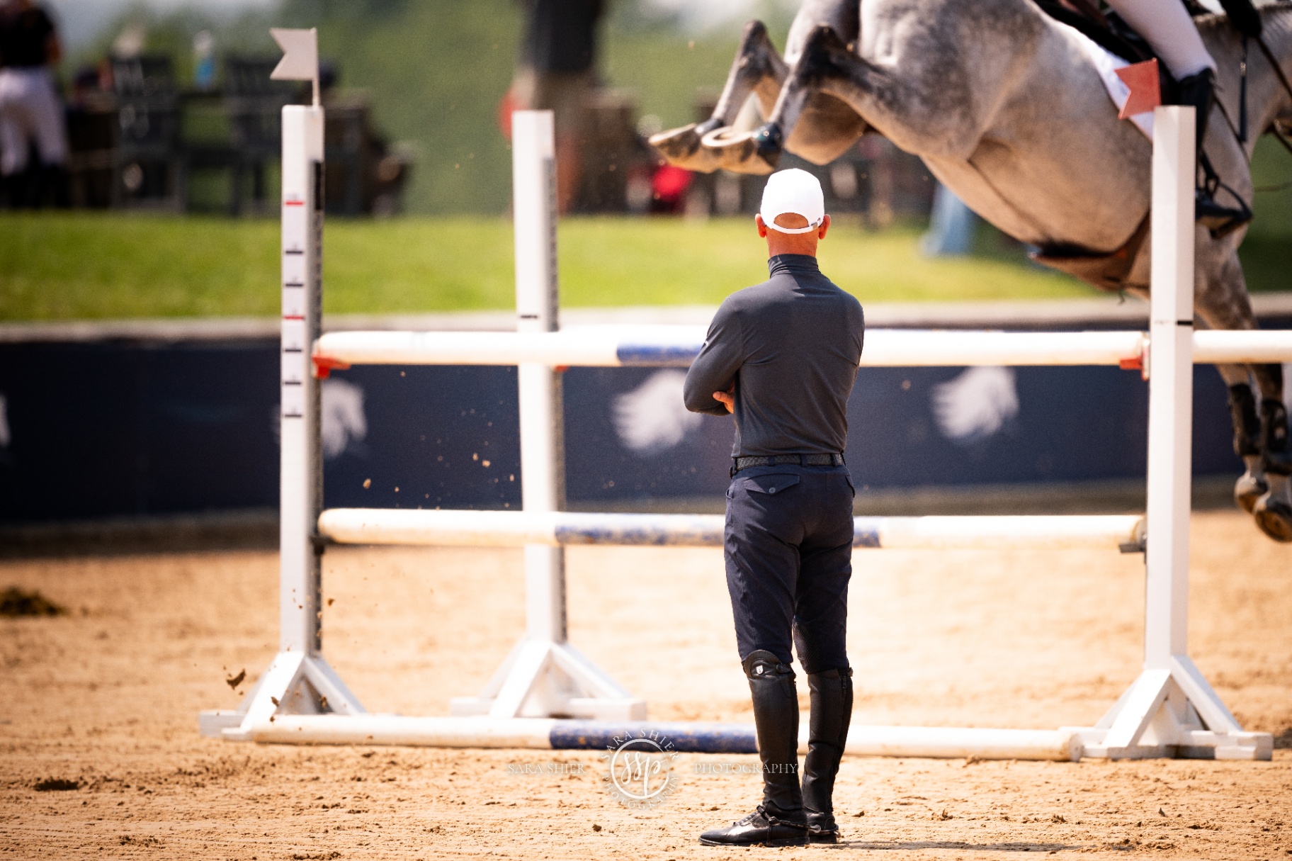 Pegasus Show Stable photograph 11
