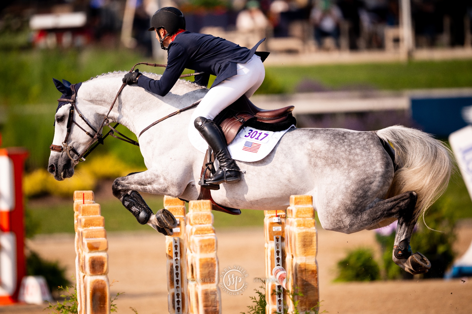 Pegasus Show Stable photograph 15
