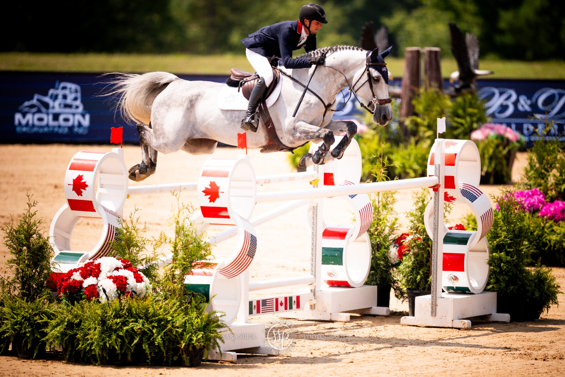 Pegasus Show Stable photograph 12