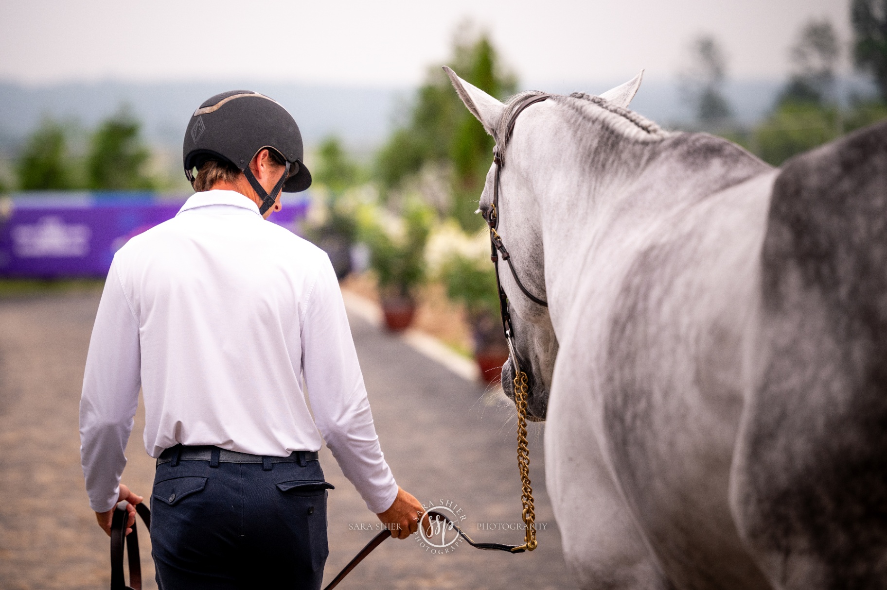 Pegasus Show Stable photograph 10