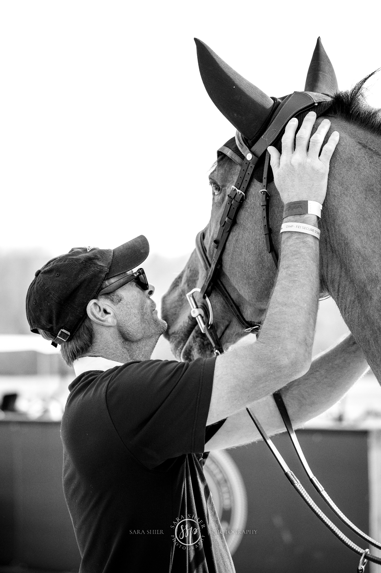 The horse first